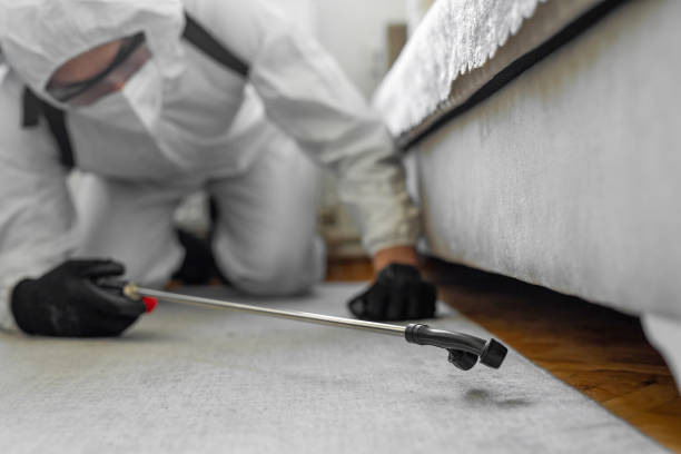 Professional Termite Control technician working in Siesta Shores, TX
